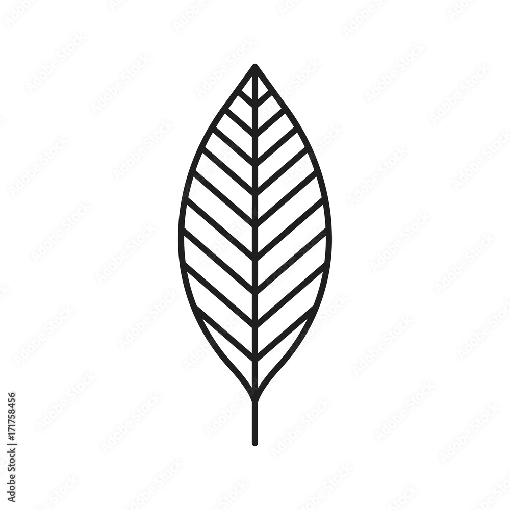 Sticker walnut leaf linear icon - Stickers