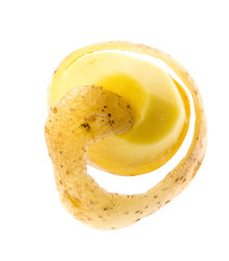 a fresh raw potato on a white background