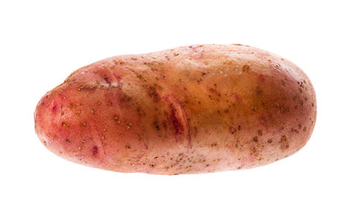 a fresh raw potatoe on a white background