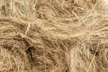 Closeup of golden hay roll
