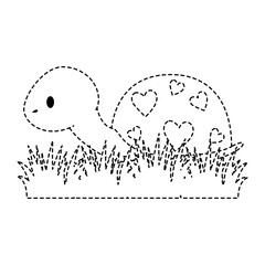 cute turtle in grass