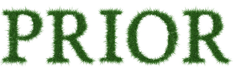 Prior - 3D rendering fresh Grass letters isolated on whhite background.
