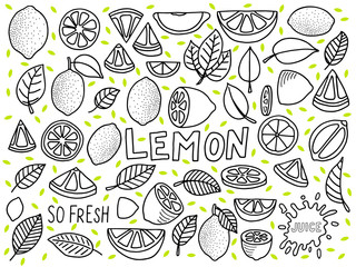 set with lemon doodle icon