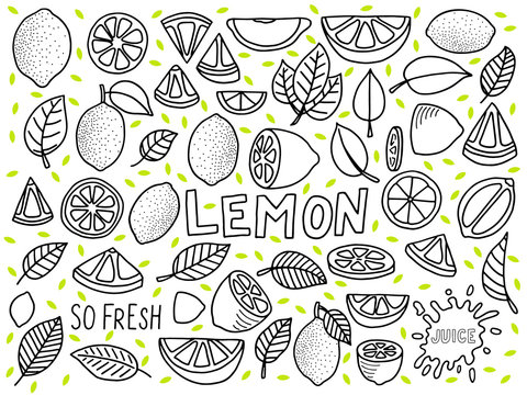set with lemon doodle icon