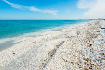 Fototapeta na wymiar White sand in Stintino shore