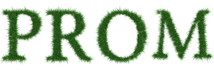 Prom - 3D rendering fresh Grass letters isolated on whhite background.
