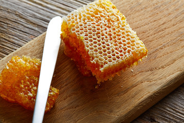 Honey honeycomb detail macro texture