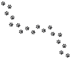 Vector trail of dog footprints © pingebat