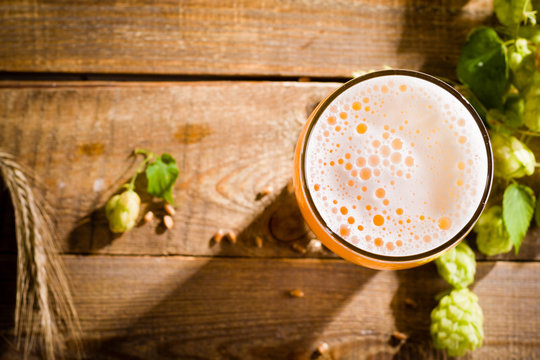 Top View On Pint Of Beer With Ingredients For Homemade Beer.