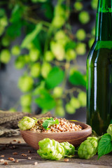 Ingredients for fresh beer laying on wooden plank.