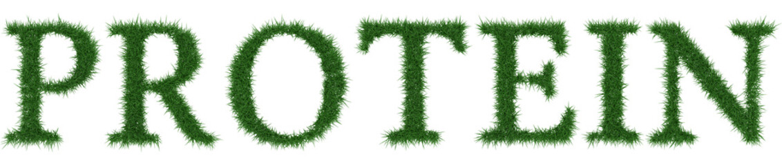 Protein - 3D rendering fresh Grass letters isolated on whhite background.