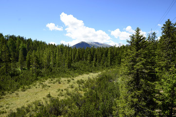 Austria, Tirol, Piller Moor