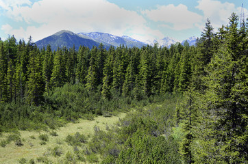 Austria, Tirol, Piller Moor