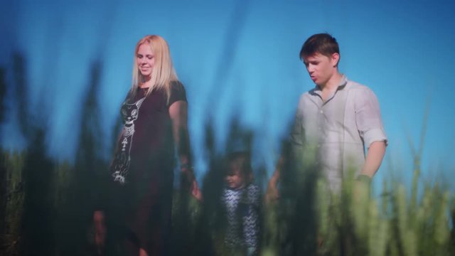 4k Family Walking in Wheat Fields
