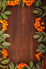 Frame of rowan berries on a wooden background. space for text
