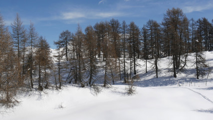 Alpe di Paglio in Valsassina