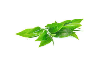 green tea leaves on white background