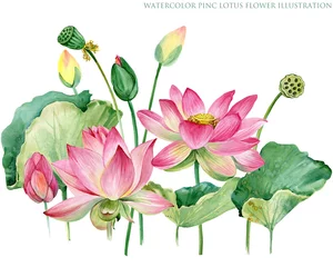 Fotobehang Lotusbloem pink lotus border. watercolor botanical illustration.  © Елена Фаенкова