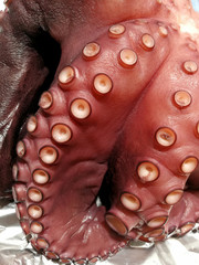 whole octopus cooked