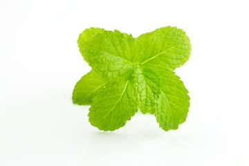 mint leaves isolated on white background