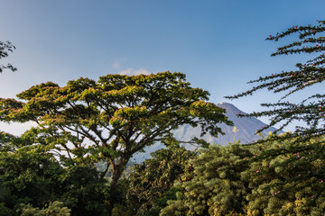 Obraz premium El Arenal