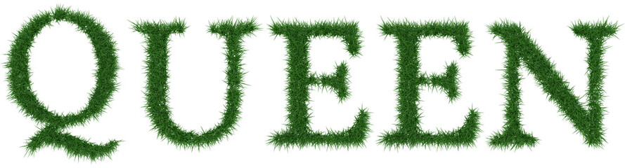 Queen - 3D rendering fresh Grass letters isolated on whhite background.