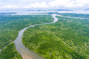 Fototapeta na wymiar Aerial view of mangrove forest at Phang-Nga bay, Thialand