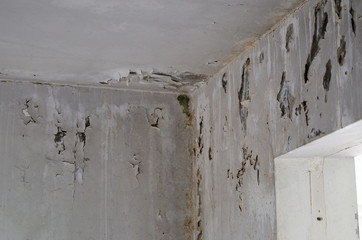 damage plaster floods water weathered
