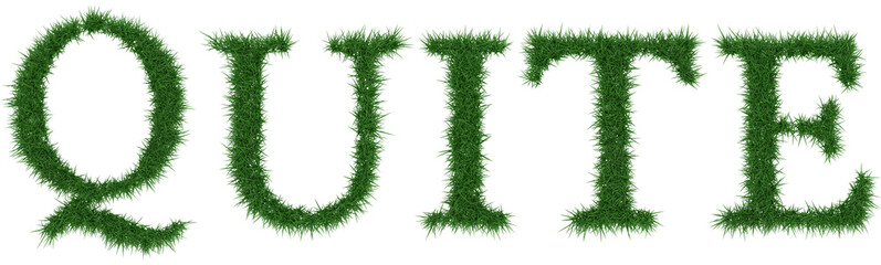 Quite - 3D rendering fresh Grass letters isolated on whhite background.