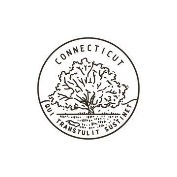 Connecticut Old Oak
