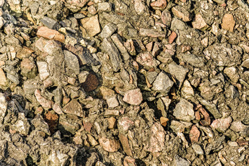 Rock Abstract Texture