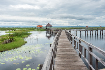 Fototapeta premium Lotus pond with wooden bridge