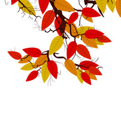 Abstract Colored Leaves Background