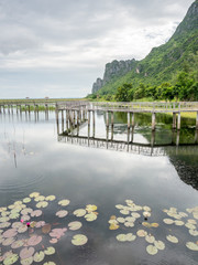 Lotus pond with wooden bridge