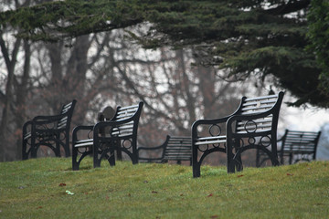 Empty Park Benches