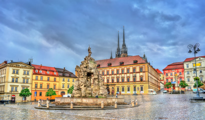 Fototapeta na wymiar Parnas Fountain on Zerny trh square in the old town of Brno, Czech Republic