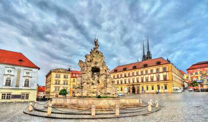 Parnas Fountain on Zerny trh square in the old town of Brno, Czech Republic