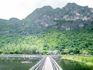 Obraz premium Lotus pond with wooden bridge