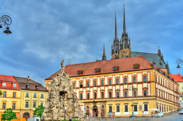 Fototapeta premium Parnas Fountain on Zerny trh square in the old town of Brno, Czech Republic