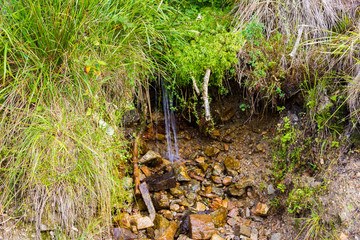 The brook