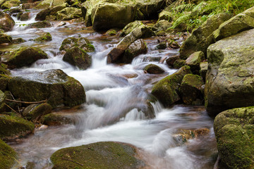 Fototapeta premium The brook