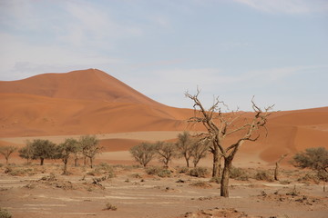 Fototapeta na wymiar Namibia 