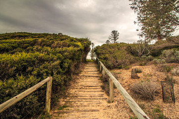 オーストラリア パース コッテスロービーチ cottesloe beach