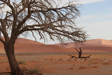 Namibia 