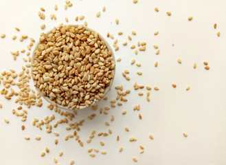 Sesame Seeds