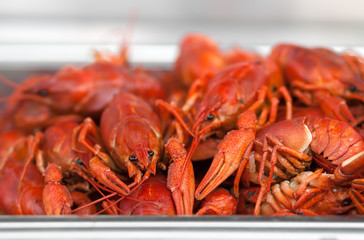 Boiled crawfish. A lot of boiled crawfish.