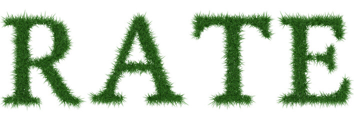 Rate - 3D rendering fresh Grass letters isolated on whhite background.