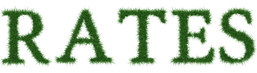 Rates - 3D rendering fresh Grass letters isolated on whhite background.