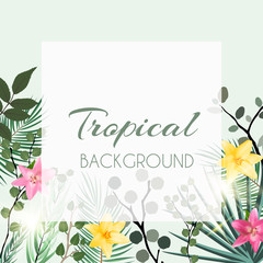 Abstract Natural Tropical Frame Background with Palm and other Leaves and Lily Flowers. Vector Illustration
