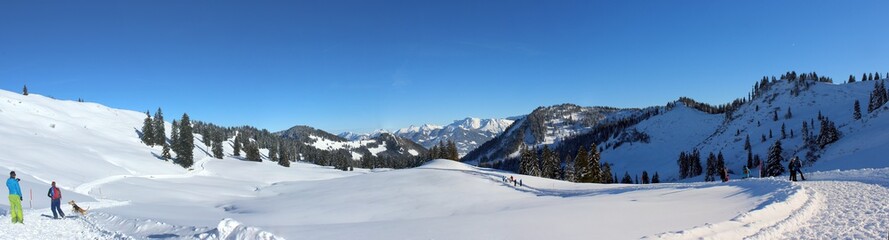 Fototapeta na wymiar Panorama im Winter